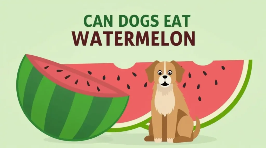 Can Dogs Eat Watermelon?
